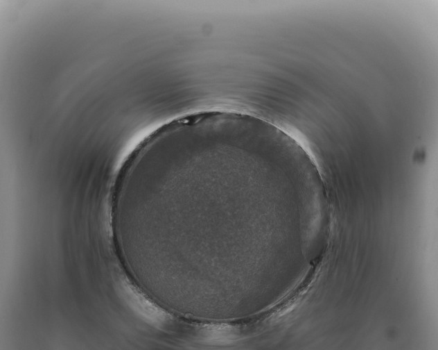 X0000090761120200707271500