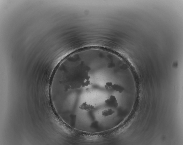 X0000090761121200707271500