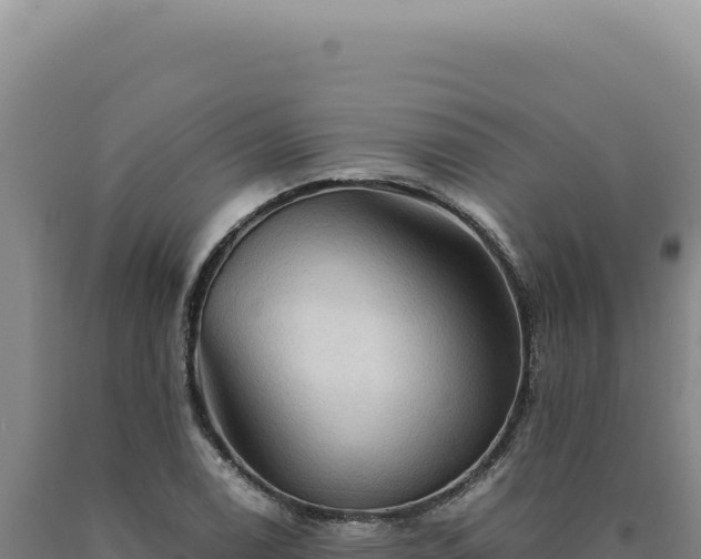 X0000090761122200707271500