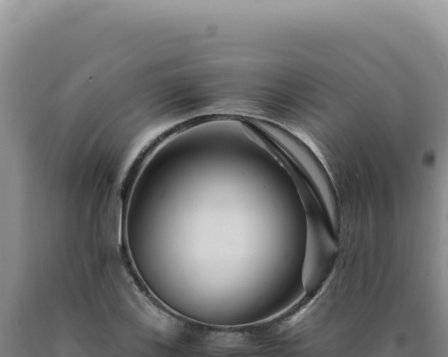 X0000090761123200707271500