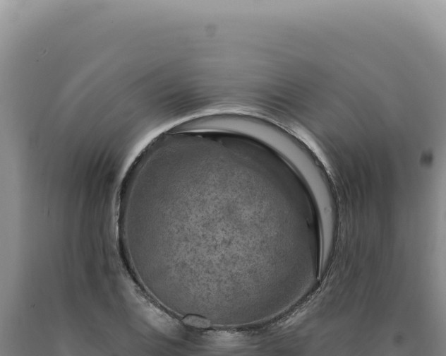 X0000090761124200707271500