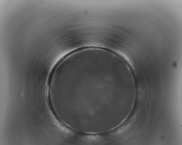 X0000090761125200707271500