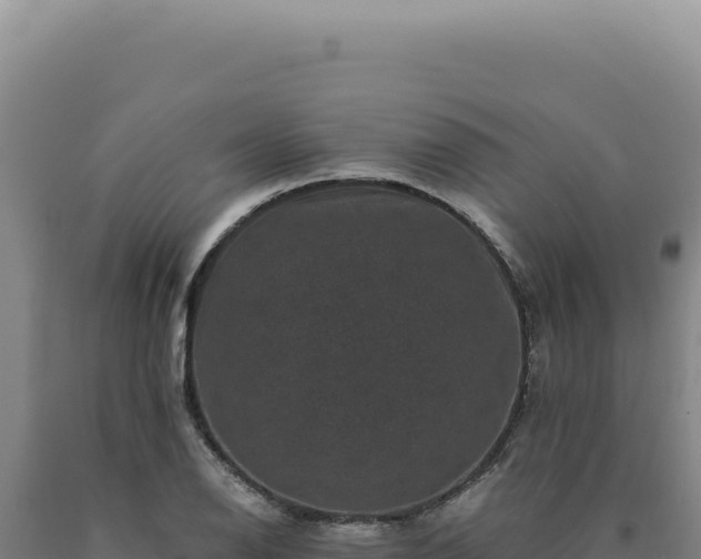 X0000090761126200707271500