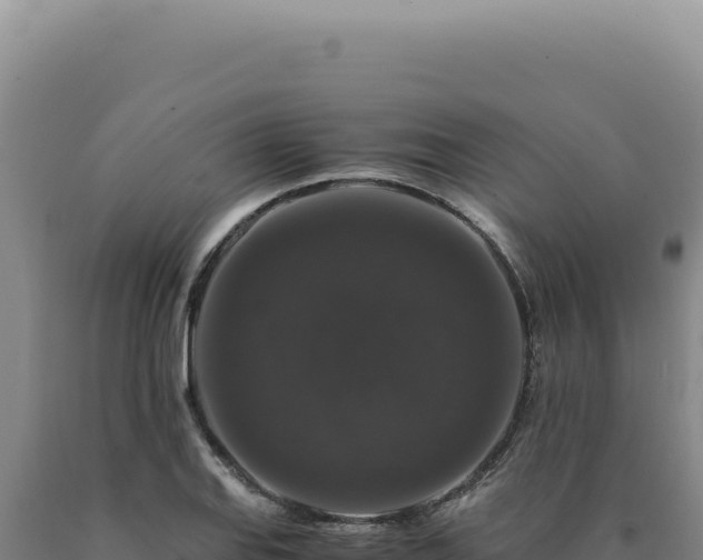 X0000090761127200707271500