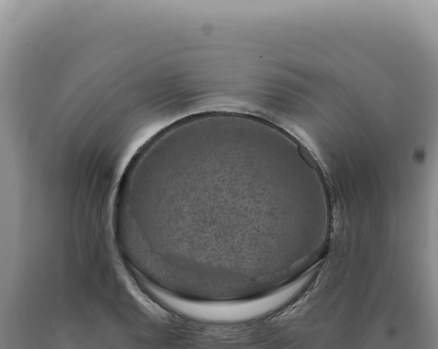 X0000090761128200707271500