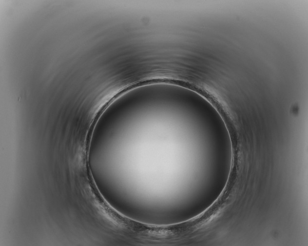 X0000090761129200707271500