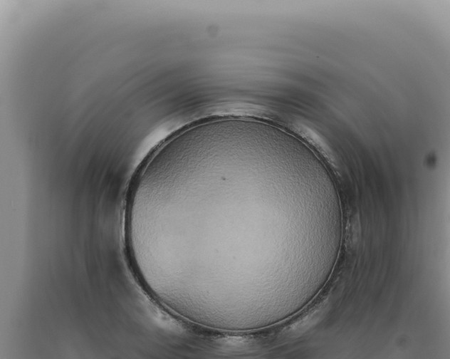 X0000090761130200707271500