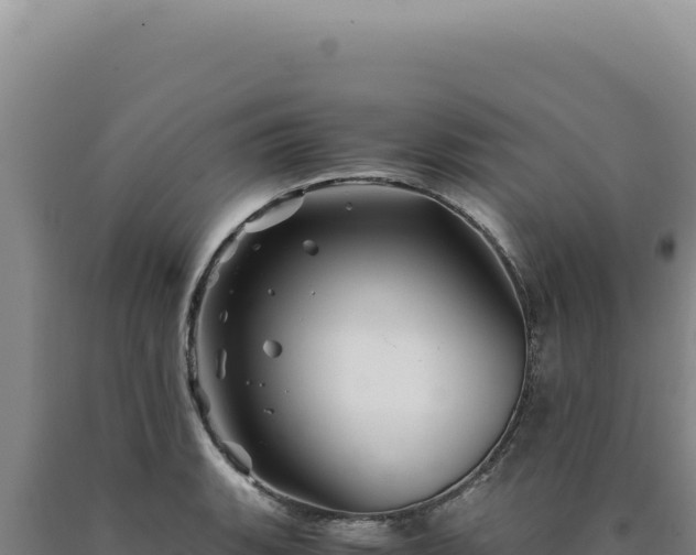 X0000090761135200707271500