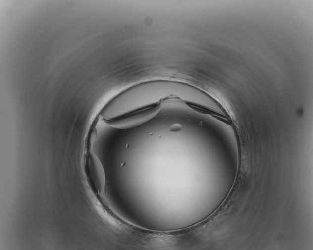 X0000090761136200707271500