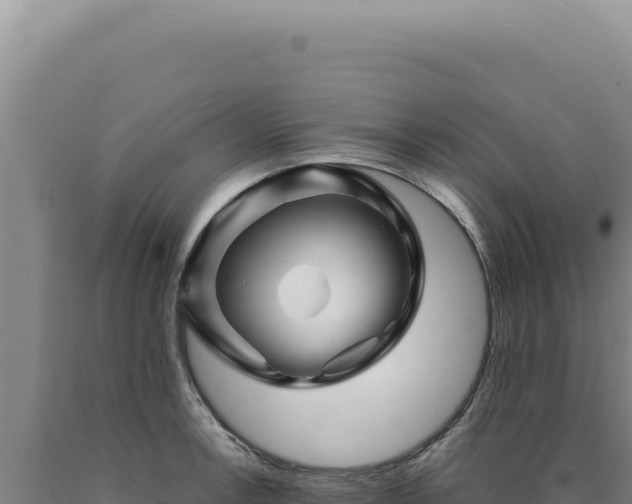 X0000090761138200707271500