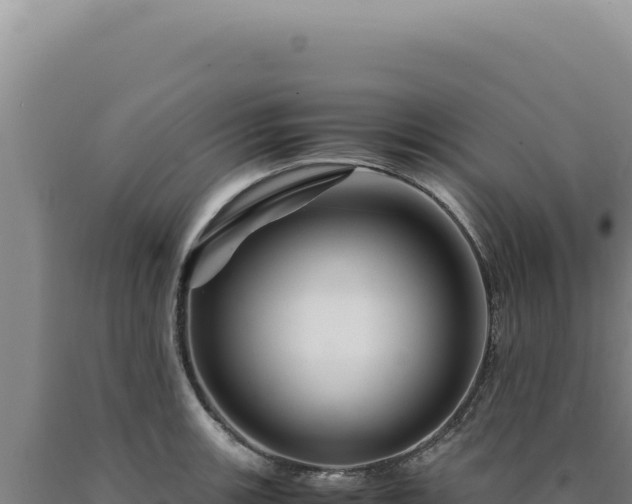 X0000090761139200707271500