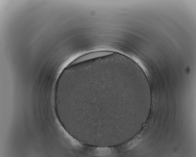 X0000090761142200707271500