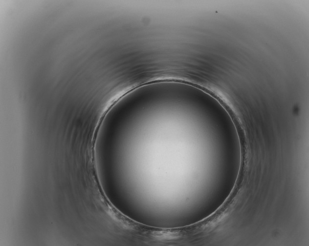 X0000090761145200707271500