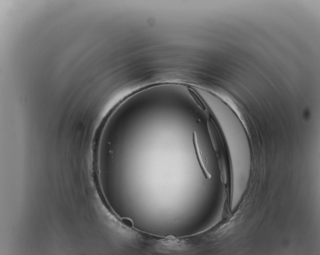 X0000090761147200707271500