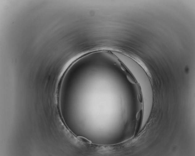 X0000090761148200707271500