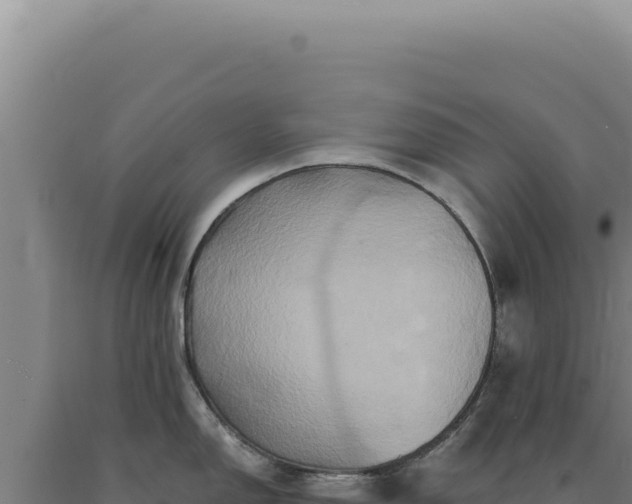 X0000090761150200707271501