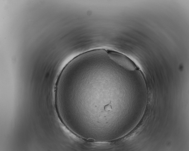 X0000090761151200707271501