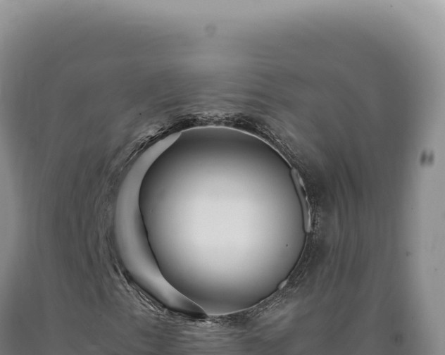 X0000090761153200707271500