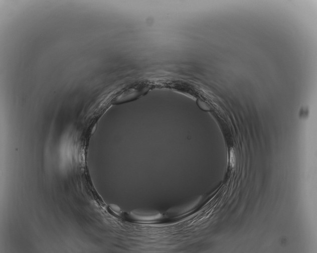 X0000090761155200707271500