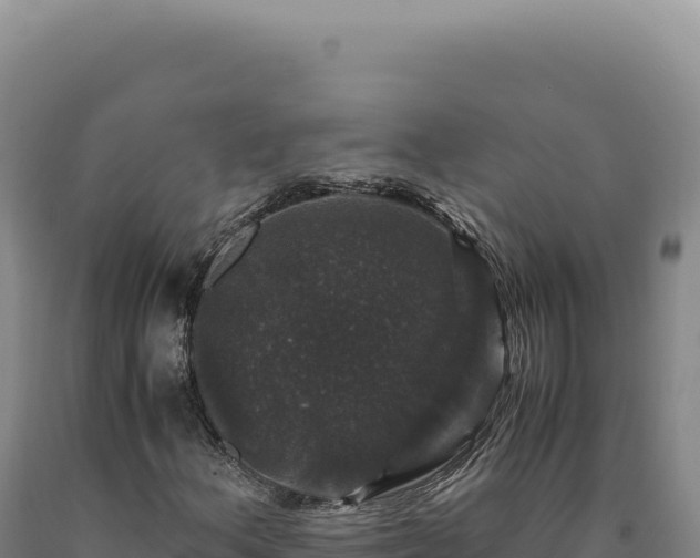 X0000090761156200707271500