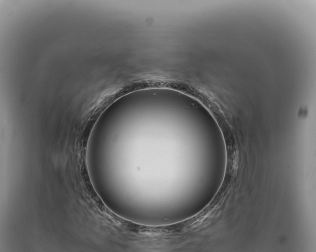 X0000090761157200707271500