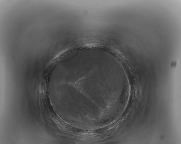 X0000090761158200707271500