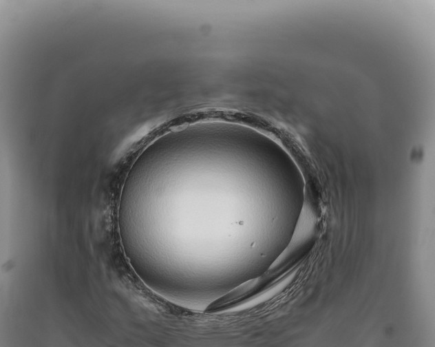 X0000090761159200707271500