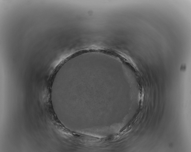 X0000090761160200707271500