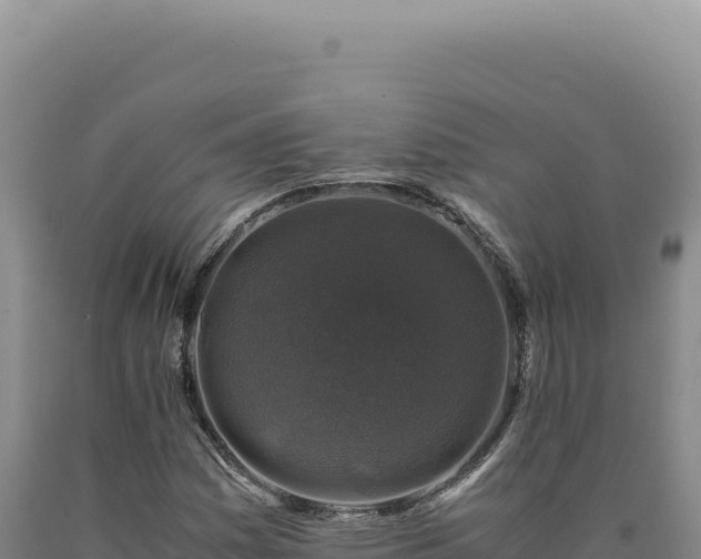 X0000090761161200707271500