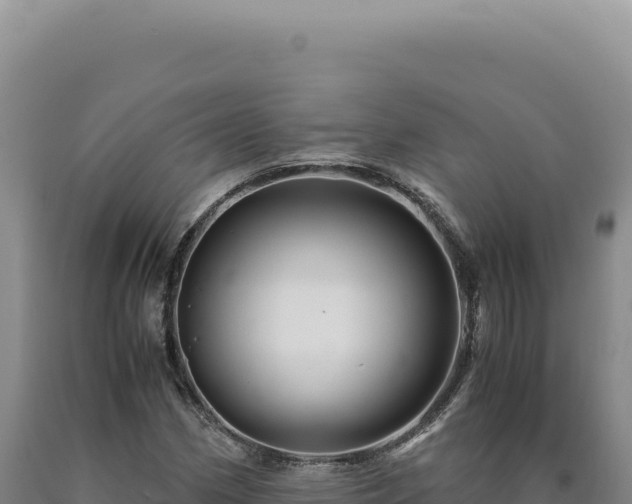 X0000090761162200707271500