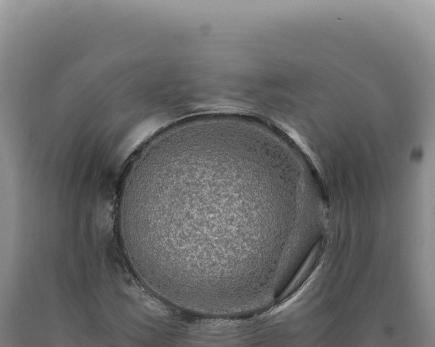 X0000090761163200707271500