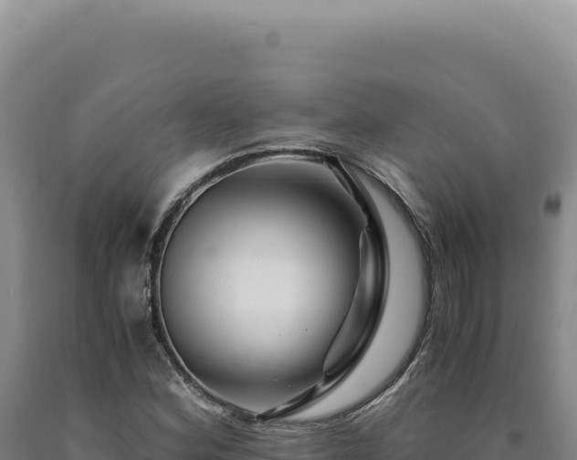 X0000090761164200707271500