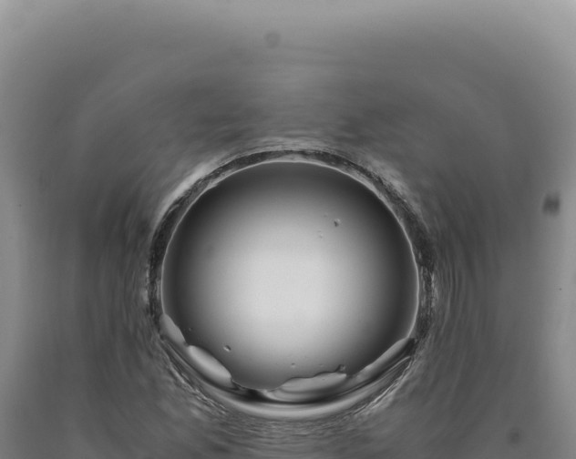 X0000090761165200707271500