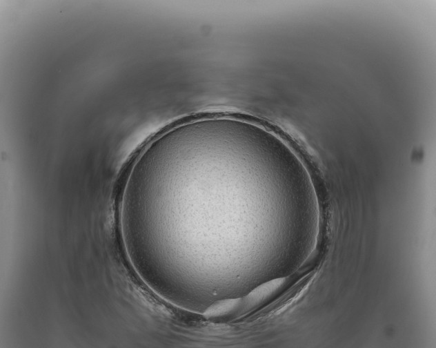 X0000090761167200707271500