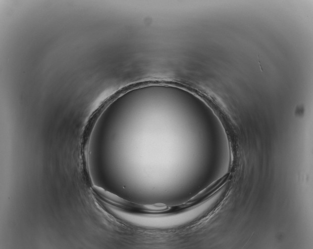 X0000090761168200707271500