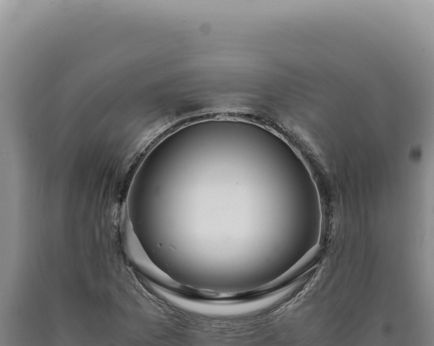 X0000090761169200707271500