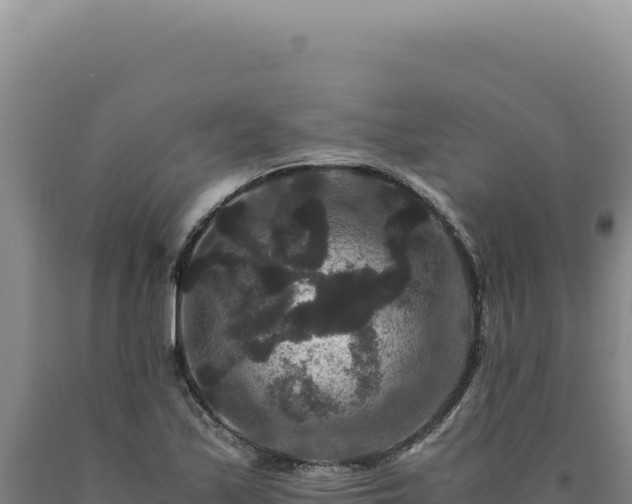 X0000090761171200707271500