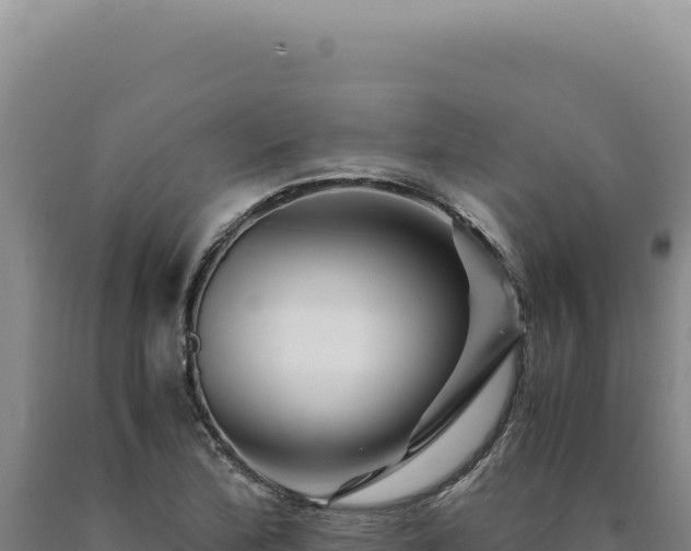 X0000090761172200707271500