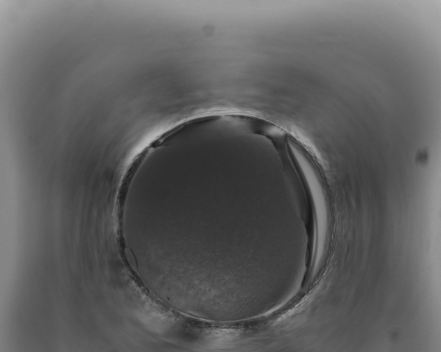 X0000090761173200707271500