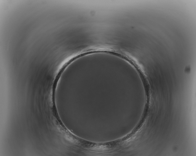 X0000090761174200707271500