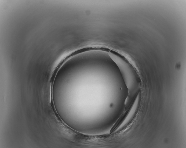 X0000090761175200707271500