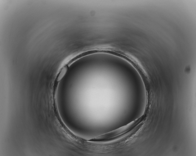 X0000090761176200707271500