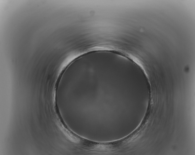 X0000090761179200707271500