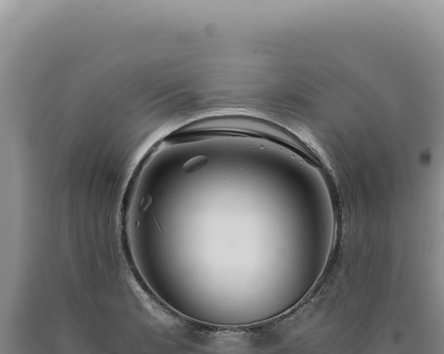 X0000090761181200707271500