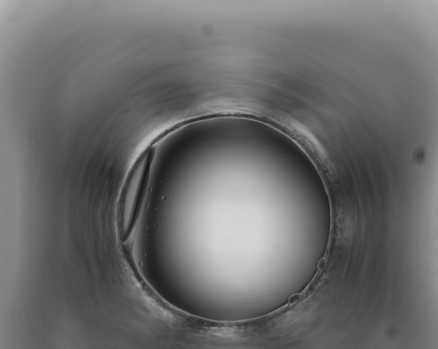 X0000090761182200707271500