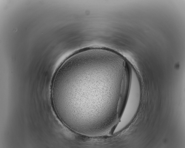 X0000090761183200707271500