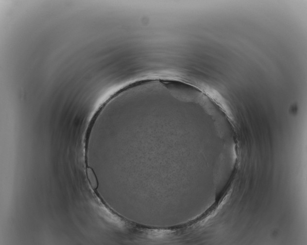 X0000090761184200707271500