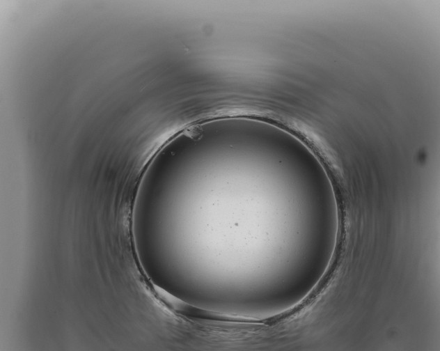 X0000090761185200707271500