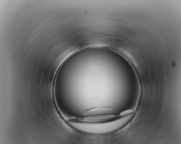 X0000090761186200707271459