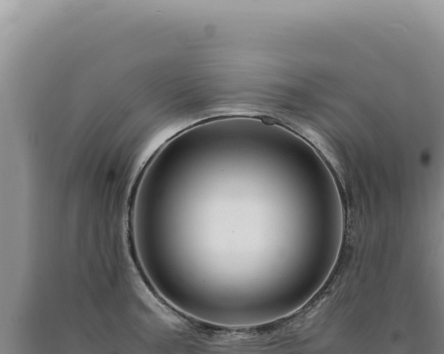 X0000090761187200707271459